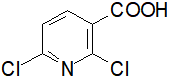 2,6-二氯煙酸